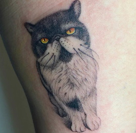 Gold Lisbon Tattoo - Cat Realism