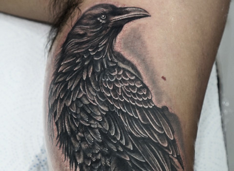 Gold Lisbon Tattoo - Animal Realismo