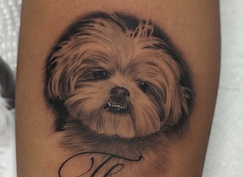 Gold Lisbon Tattoo - Cão Realista