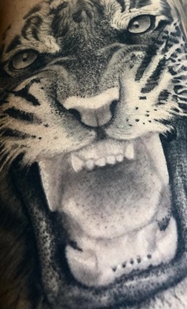 Gold Lisbon Tattoo - Tigre Realista